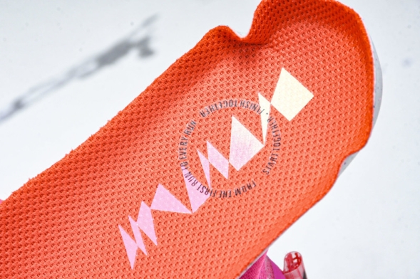 Nike Air Zoom Pegasus Premium HQ2592 600  