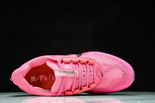 Nike Air Zoom Pegasus Premium HQ2592 600  