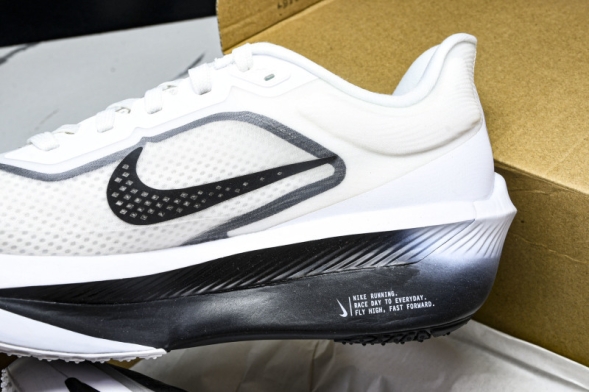 Nike Zoom Fly 6 FN8454 100 