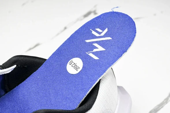 Nike Zoom Fly 5 DZ2769-101 