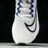 Nike Zoom Fly 5 DZ2769-101