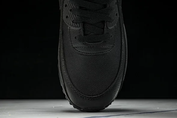 Nike Air Max 90 DZ4504 003 