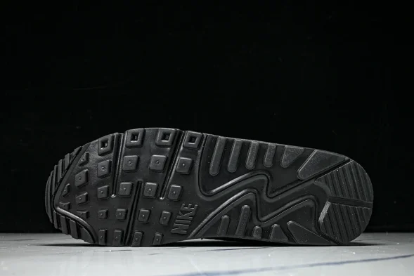 Nike Air Max 90 DZ4504 003 