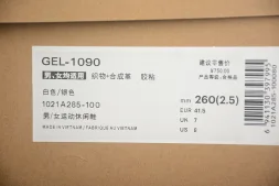 Asics Gel-1090 1021A285-100