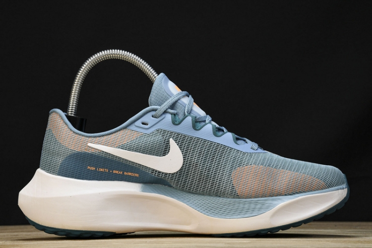 Nike Zoom Fly 5 DM8968 400