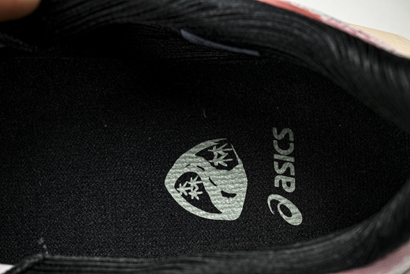 Asics Novablast 4 1012B654-250 