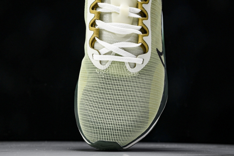 Nike Zoom Fly 5 FV3632 301