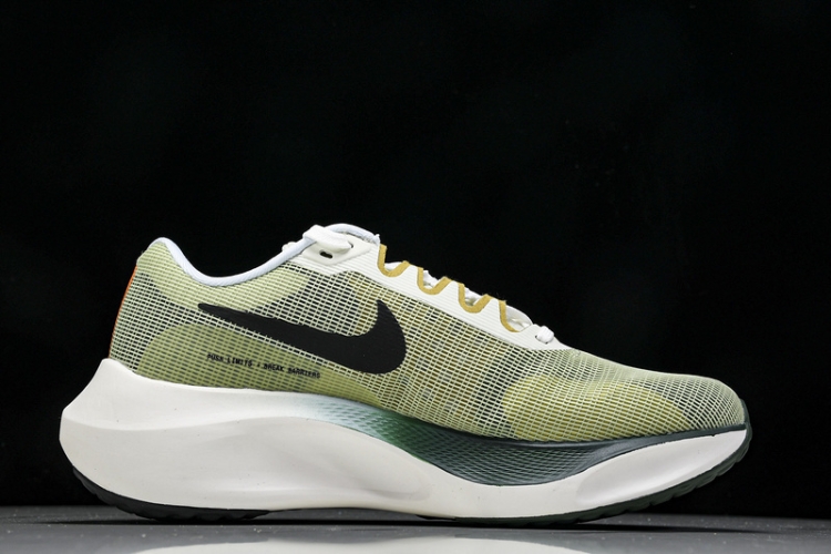 Nike Zoom Fly 5 FV3632 301