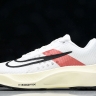 Nike Zoom Fly 5 FD6562-100