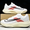 Nike Zoom Fly 5 FD6562-100