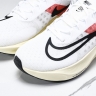 Nike Zoom Fly 5 FD6562-100