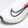Nike Zoom Fly 5 FD6562-100