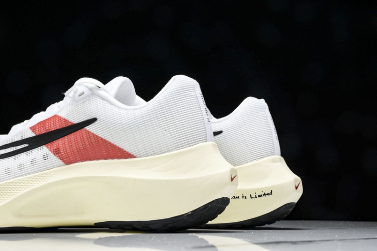 Nike Zoom Fly 5 FD6562-100