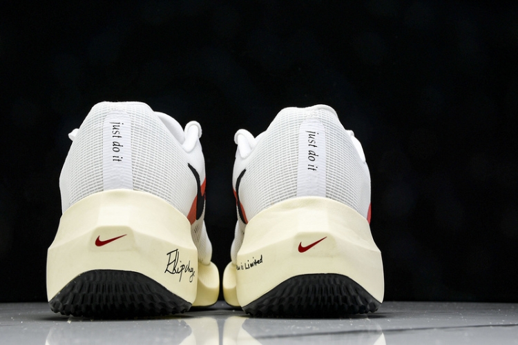 Nike Zoom Fly 5 FD6562-100