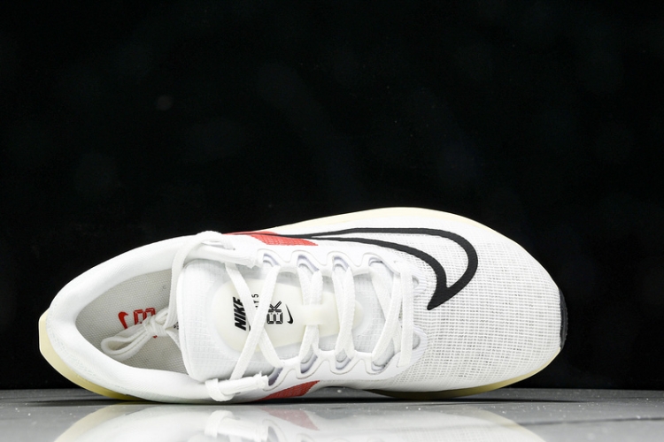 Nike Zoom Fly 5 FD6562-100