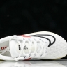 Nike Zoom Fly 5 FD6562-100