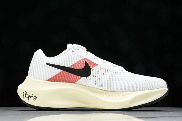 Nike Zoom Fly 5 FD6562-100