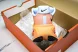 Nike Air Zoom Premium FN8453-018 