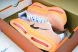 Nike Air Zoom Premium FN8453-018 