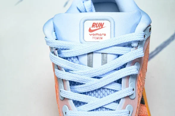 Nike Air Zoom Premium FN8453-018 