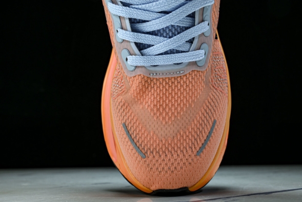 Nike Air Zoom Premium FN8453-018 