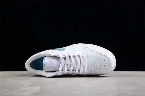 Nike Air Jordan 1 low Dare To Fly FB1874-101 