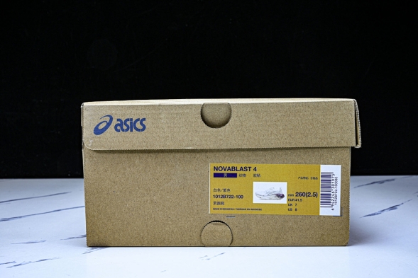 Asics Novablast 4 1012B722-100 