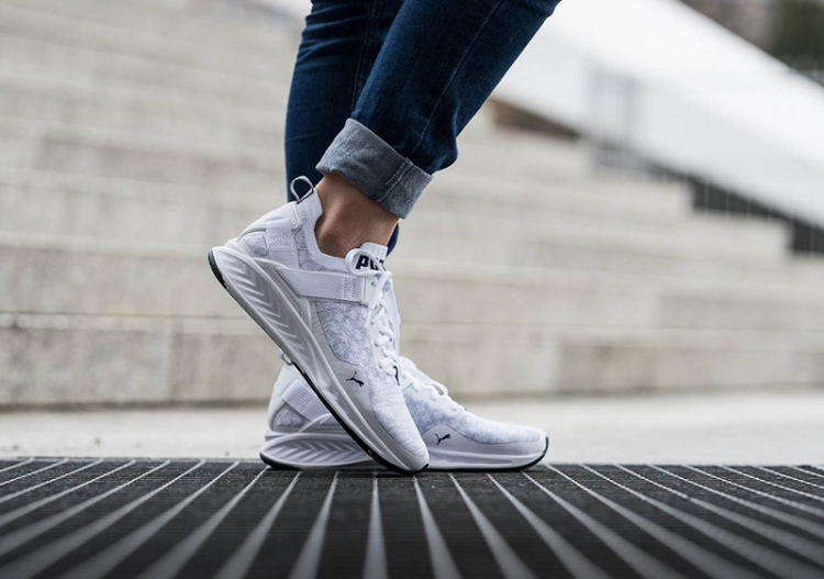 Puma ignite evoknit lo online