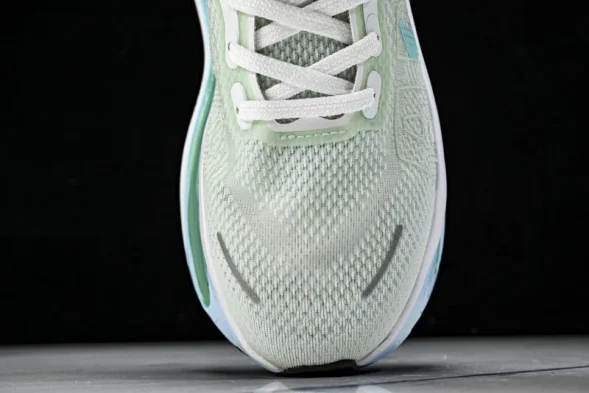 Nike Air Zoom Premium FN8453-014 