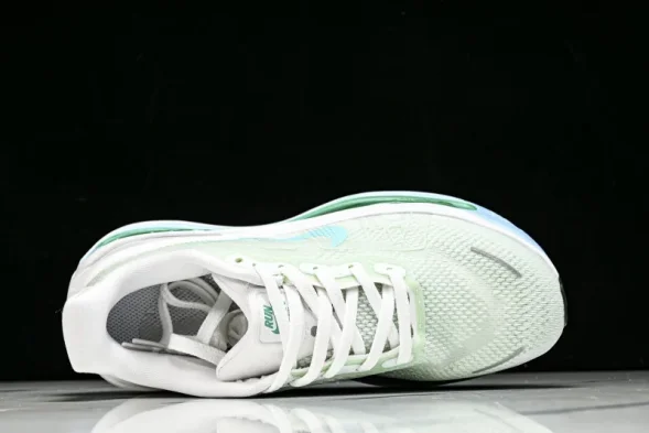 Nike Air Zoom Premium FN8453-014 