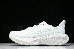 Asics Novablast 4 1012B510-300