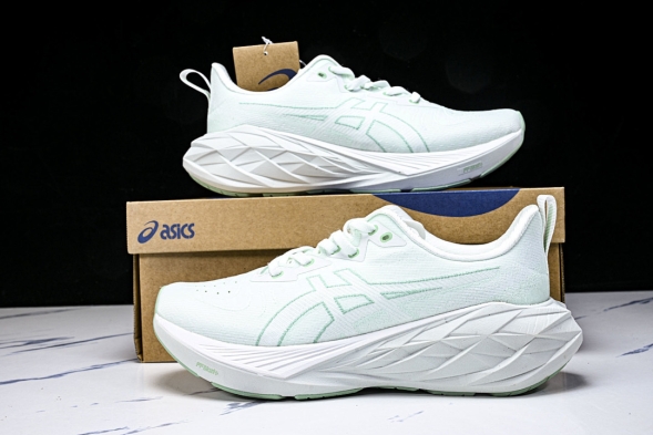 Asics Novablast 4 1012B510-300 