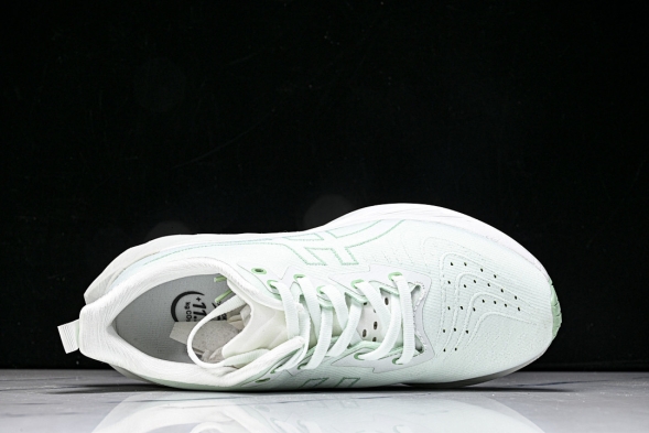 Asics Novablast 4 1012B510-300 