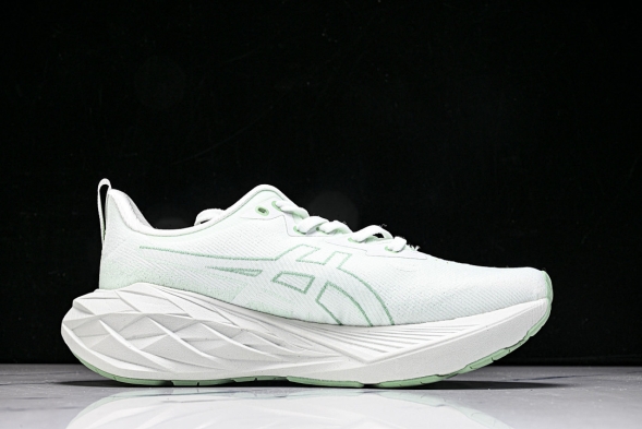 Asics Novablast 4 1012B510-300 