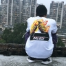  Palace 