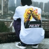  Palace 
