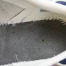  Notitle x Adidas Samba OG IG4198