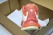 Salomon XT-Whisper 491288-23 