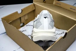 Asics Novablast 5 1011B974-002