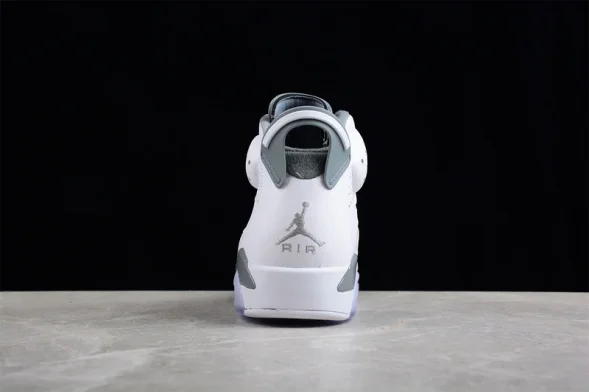 Nike Air Jordan 6 Cool Grey CT8529-100 