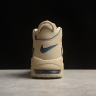 Nike Air More Uptempo 96 DV6993-200