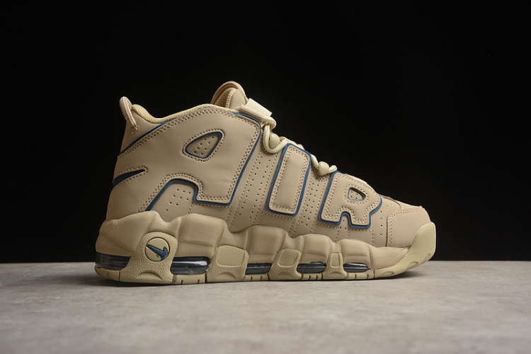 Nike Air More Uptempo 96 DV6993-200