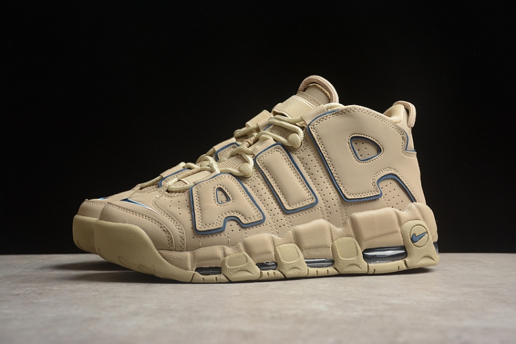 Nike Air More Uptempo 96 DV6993-200