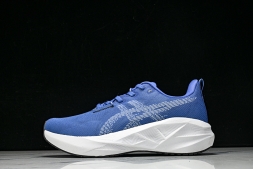 Asics Novablast 5 1011B974-403