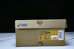Asics Novablast 5 1012B765-102