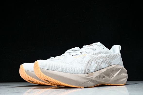 Asics Novablast 5 1012B765-102 