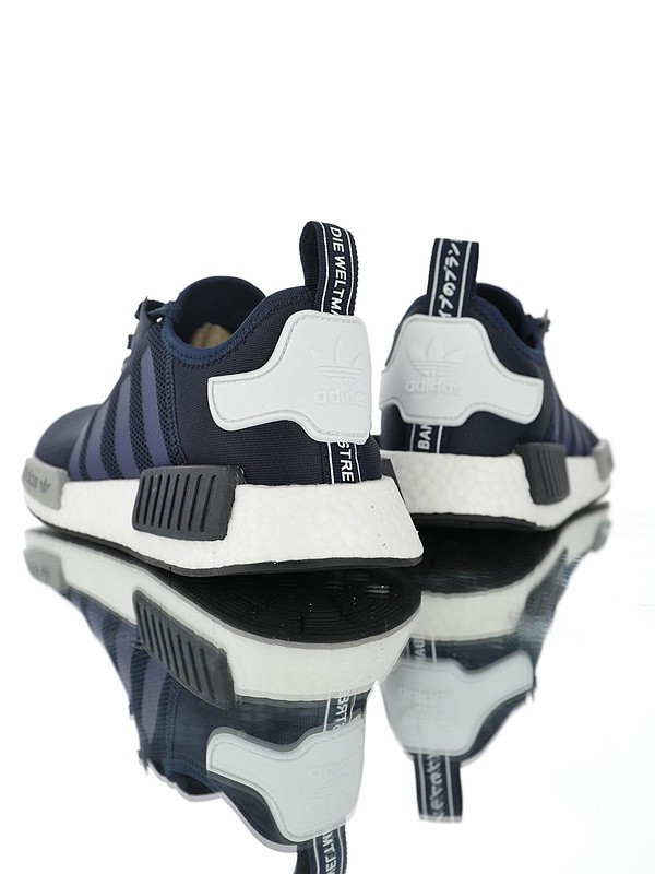 Adidas NMD R1 Boost  S79161