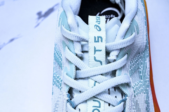 Asics Novablast 5 1011B974-400 