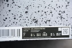 Nike Air Jordan 6 Retro 2021 Carmine CT8529-106