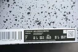 Nike Air Jordan 6 Retro 2021 Carmine CT8529-106